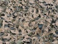 4m x 4m Camo Net