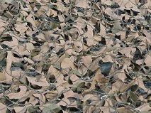 4m x 4m Camo Net